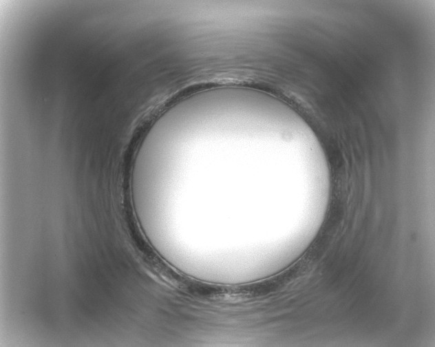X0000066500303200603170957