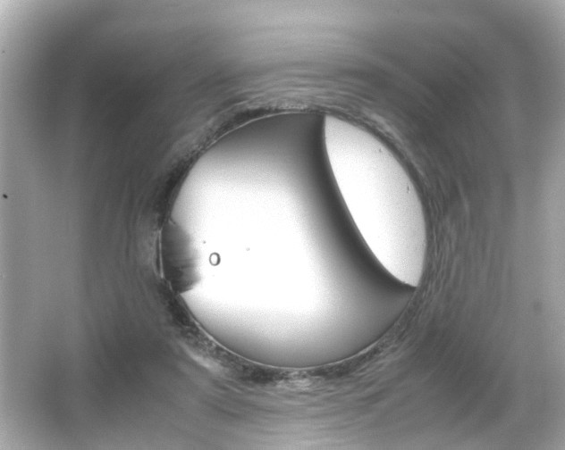X0000066500307200603170957