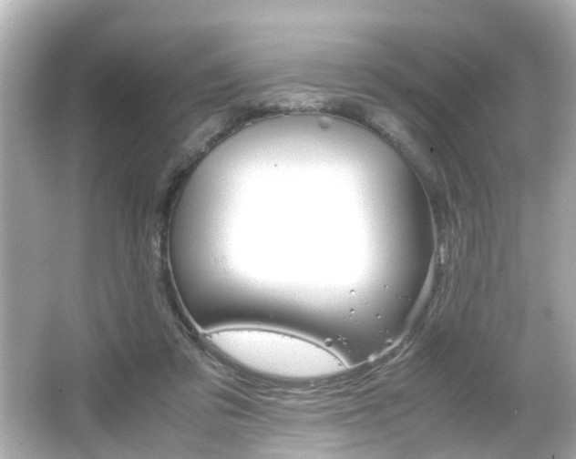 X0000066500309200603170956