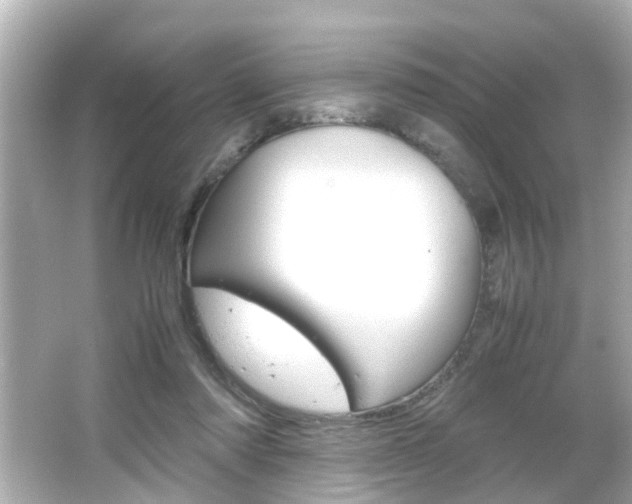 X0000066500310200603170956