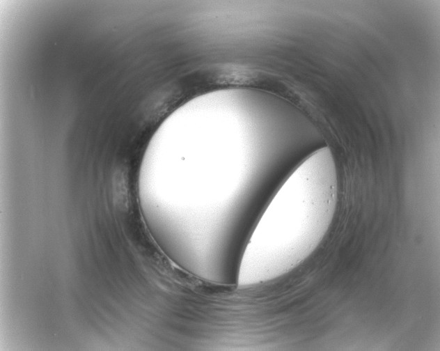 X0000066500312200603170956