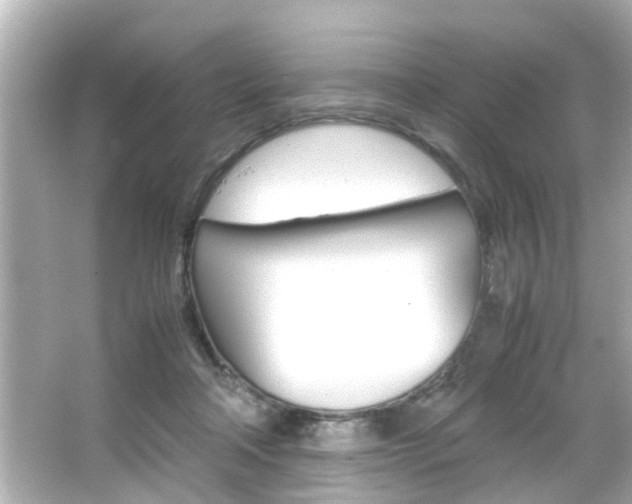 X0000066500314200603170956