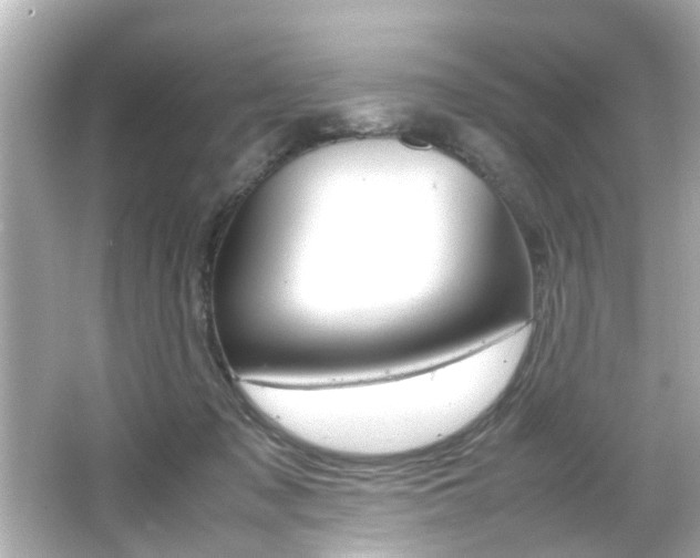 X0000066500317200603170956