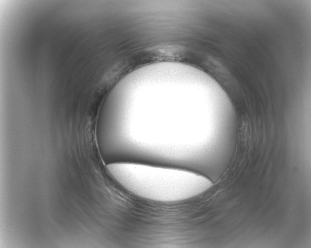 X0000066500318200603170956