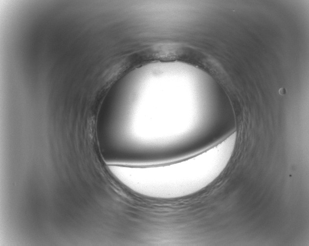 X0000066500325200603170956