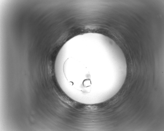 X0000066500328200603170956