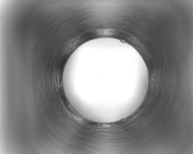 X0000066500330200603170956