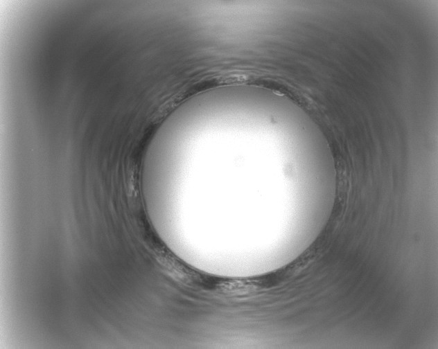 X0000066500331200603170956