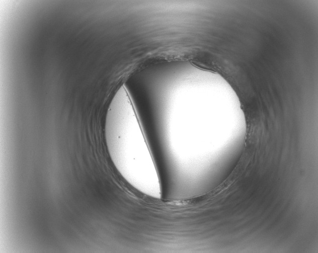 X0000066500335200603170956