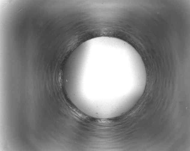 X0000066500336200603170956