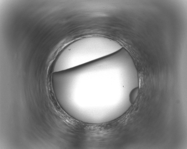 X0000066500339200603170955