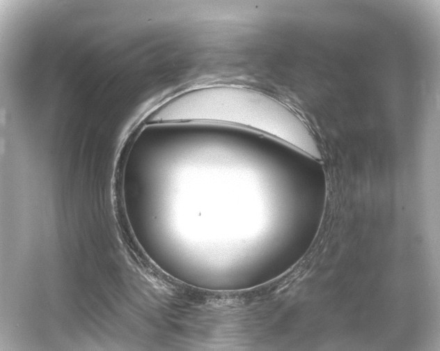 X0000066500340200603170955