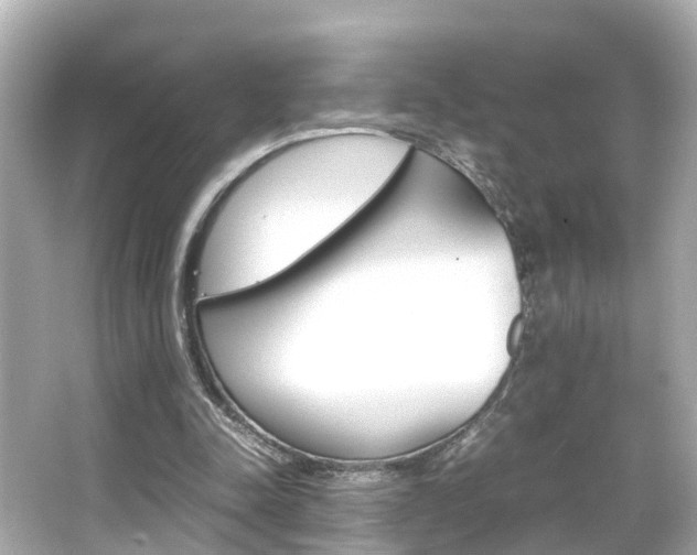 X0000066500342200603170955