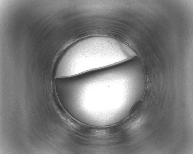 X0000066500349200603170955