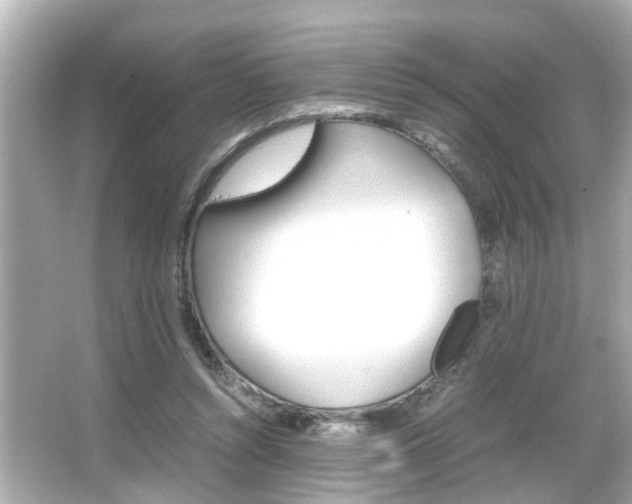 X0000066500352200603170955