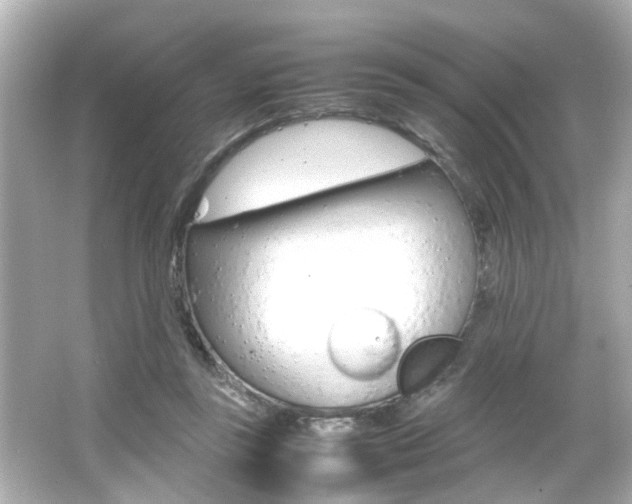 X0000066500355200603170956
