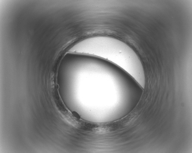 X0000066500356200603170956