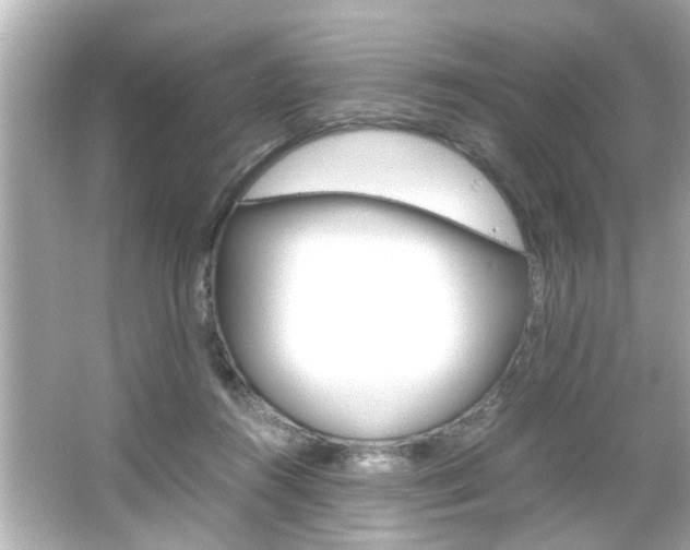 X0000066500360200603170956
