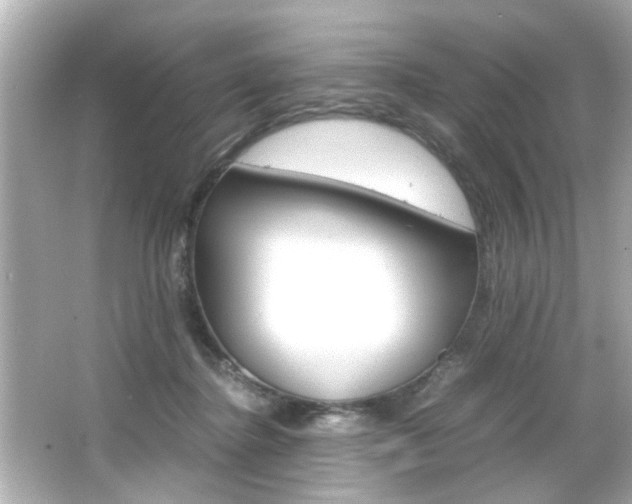 X0000066500364200603170956