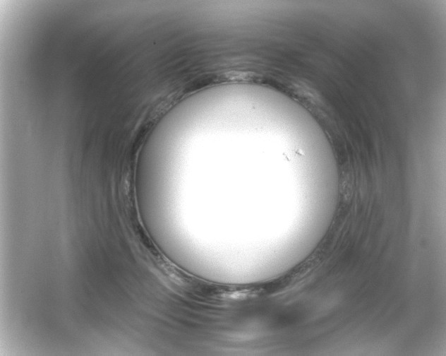 X0000066500365200603170956