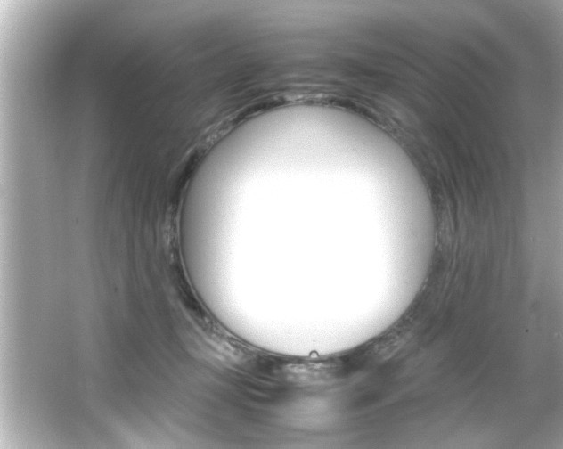 X0000066500367200603170956