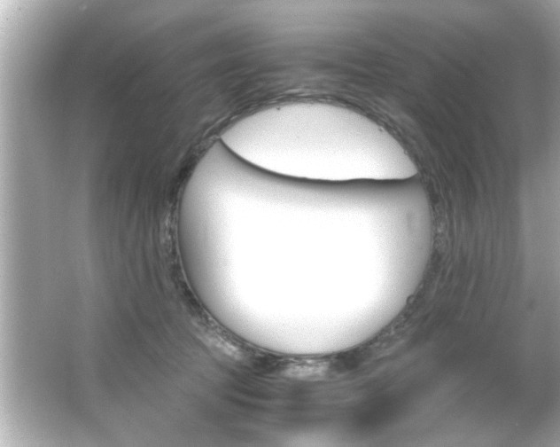 X0000066500369200603170956