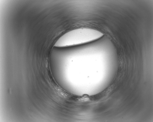 X0000066500374200603170956