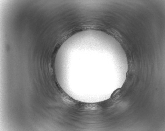 X0000066500377200603170956