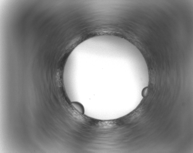 X0000066500378200603170956