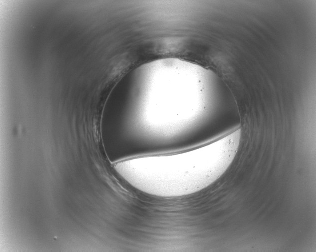 X0000066500380200603170956