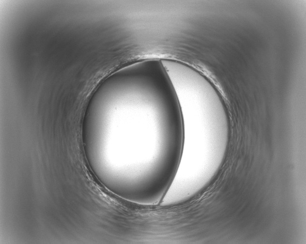 X0000066500385200603170955