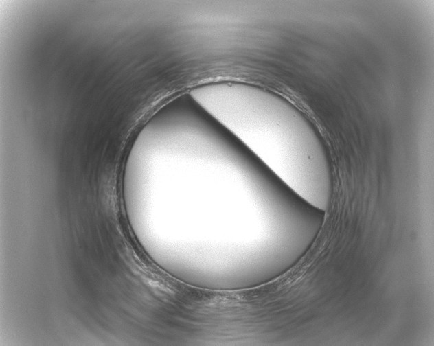 X0000066500386200603170955