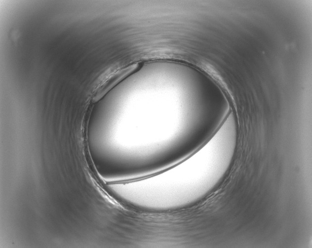 X0000066500389200603170955