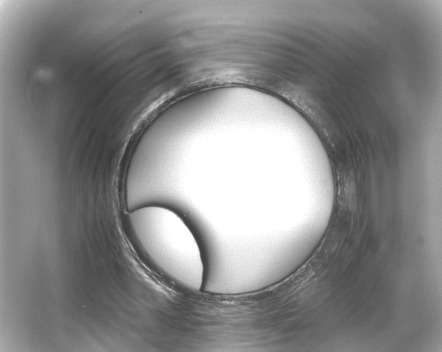 X0000066500390200603170955