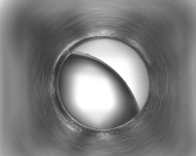 X0000066500392200603170955