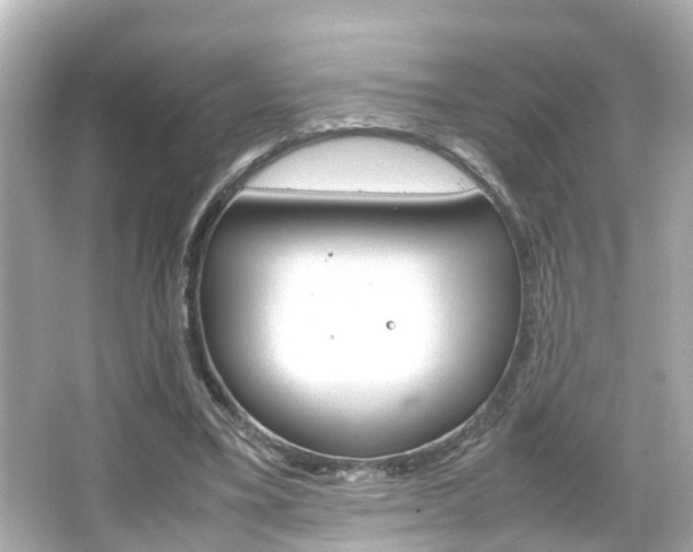 X0000066500395200603170955