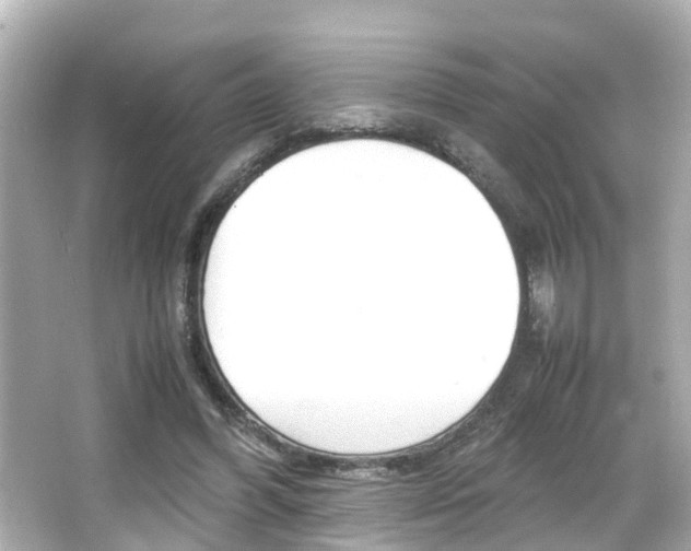 X0000066500396200603170955