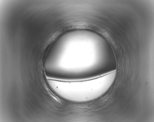 X0000066500397200603170955