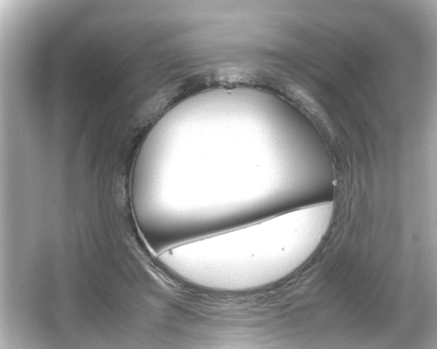 X0000066500401200603170955