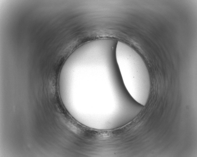 X0000066500402200603170955