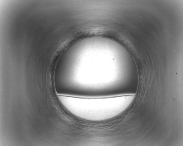 X0000066500403200603170955