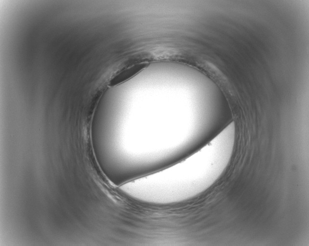 X0000066500405200603170955
