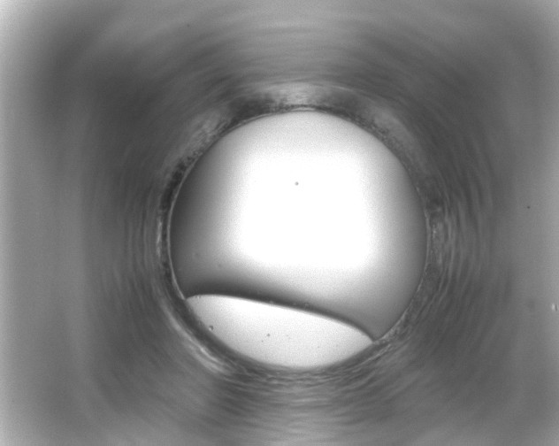 X0000066500406200603170955