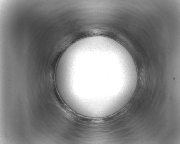 X0000066500410200603170955