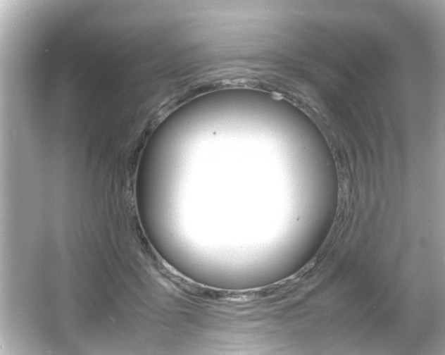 X0000066500411200603170955