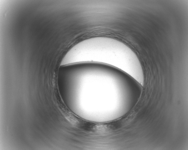 X0000066500413200603170955