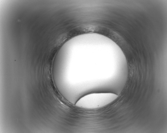 X0000066500414200603170955