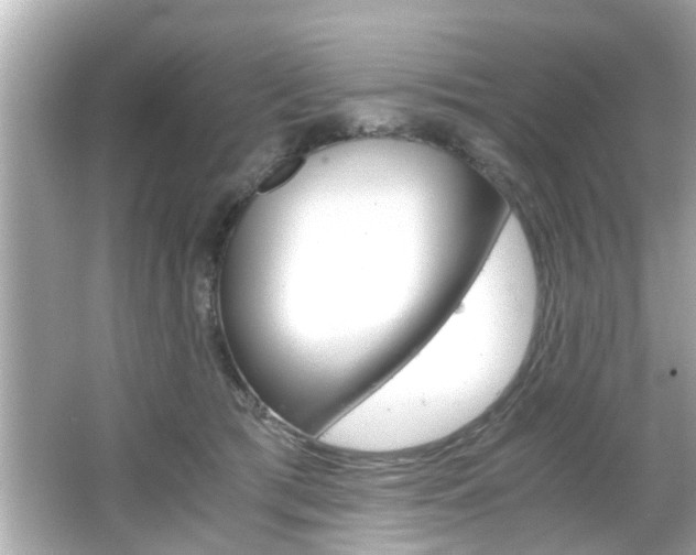 X0000066500417200603170955