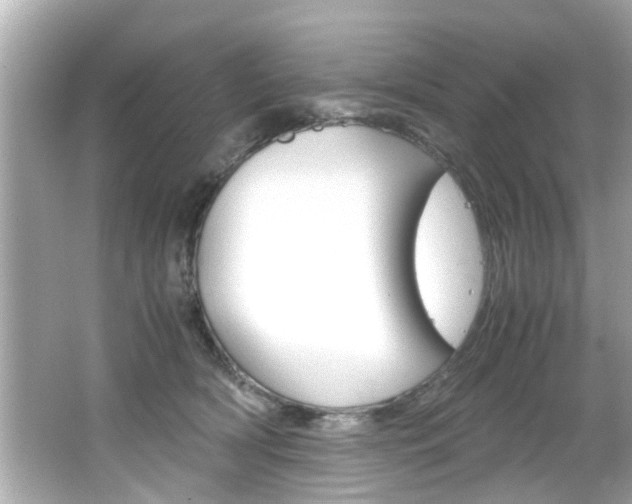 X0000066500418200603170955