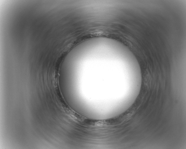 X0000066500420200603170955